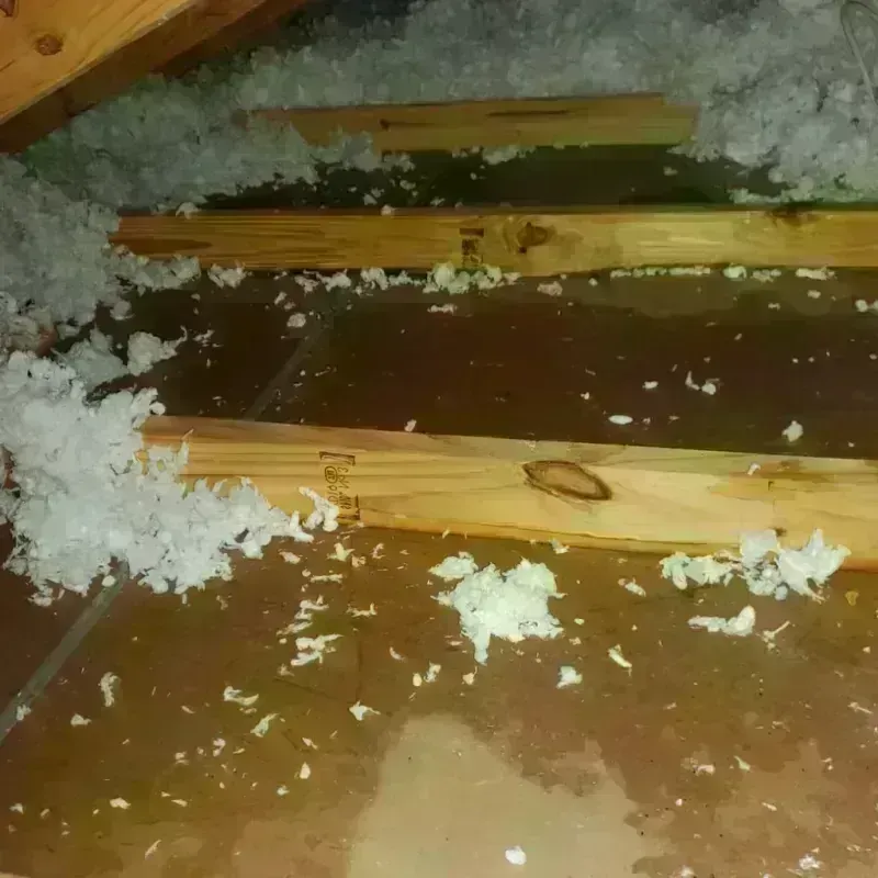 Attic Water Damage in La Playa, PR